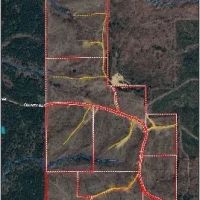 213 Acres in Webster County in Mantee MS