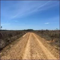 213 Acres in Webster County in Mantee MS images 3