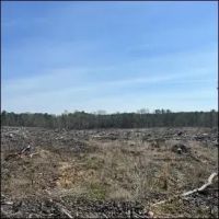 213 Acres in Webster County in Mantee MS images 4