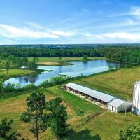 Stunning Horse Ranch with Luxury Home For Sale in Eastern GA images 4
