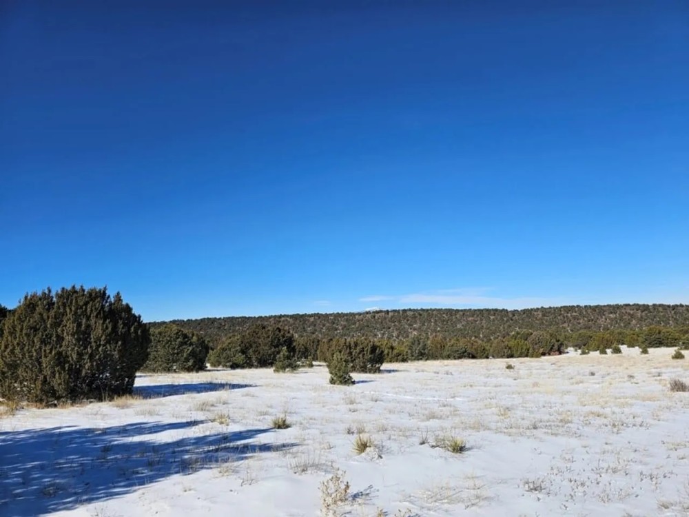 Silver Spurs Ranch 152 featured image