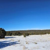 Silver Spurs Ranch 152