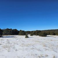 Silver Spurs Ranch 152 images 2