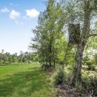 Affordable Land for Sale in Pike County MS images 5