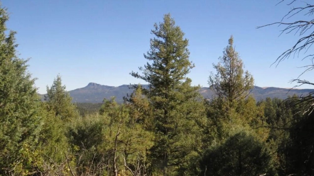 H11 Santa Fe Trail Ranch featured image