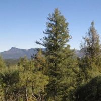 H11 Santa Fe Trail Ranch