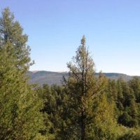 H11 Santa Fe Trail Ranch images 2