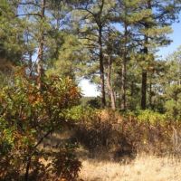 H11 Santa Fe Trail Ranch images 4