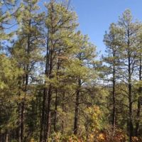 H11 Santa Fe Trail Ranch images 5