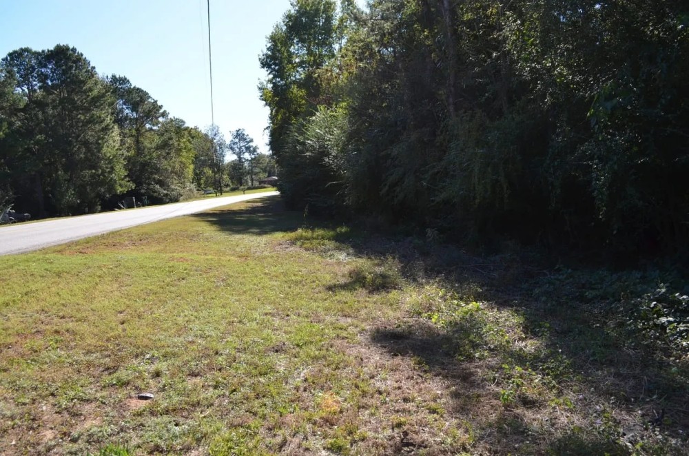 9 Acre Recreational Tract or Homesite Opportunity in Dale County featured image