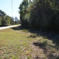 9 Acre Recreational Tract or Homesite Opportunity in Dale County