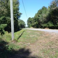 9 Acre Recreational Tract or Homesite Opportunity in Dale County images 2