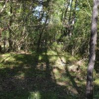 9 Acre Recreational Tract or Homesite Opportunity in Dale County images 5