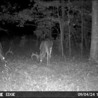 156 Acres in Winston County in Louisville MS images 3