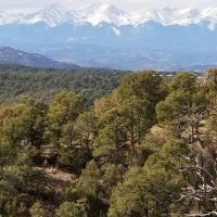 54 Trinidad Lake Ranches