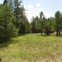 54 Trinidad Lake Ranches images 3