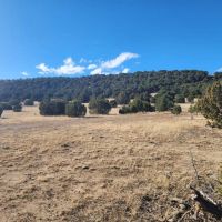 36 Rugby Ranch images 3