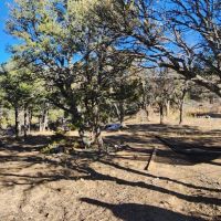 36 Rugby Ranch images 4