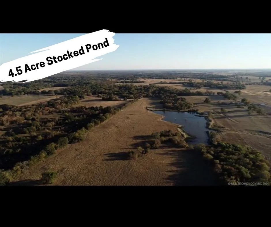 Blank Canvas of 55.9 acres just outside Bokchito OK featured image