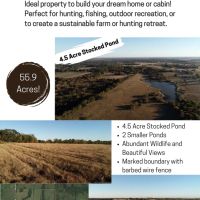 Blank Canvas of 55.9 acres just outside Bokchito OK images 2