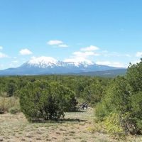 43 Silver Spurs Ranch