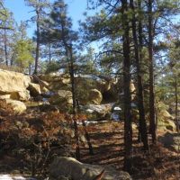Cougar Ridge
