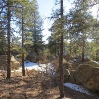 Cougar Ridge images 2