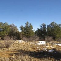 Cougar Ridge images 3