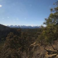 Cougar Ridge images 4