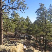 Cougar Ridge images 5