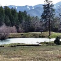 6402 CR 700 Pagosa Springs CO 810572 images 3