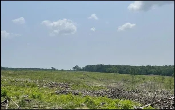154.92 Acres in Grenada County in Coffeeville MS featured image