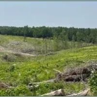 154.92 Acres in Grenada County in Coffeeville MS images 2