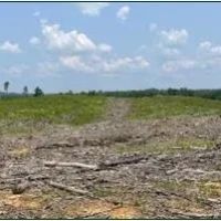 154.92 Acres in Grenada County in Coffeeville MS images 3