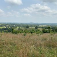 Ranch for Sale in the Ozarks images 3