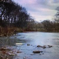 NEW PRICE 285 AC LITTLE RIVER RANCH HUNTING PRESERVE