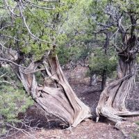 10 Milligan Ranch images 4