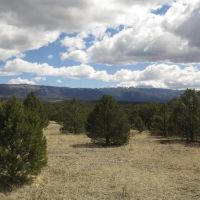10 Milligan Ranch images 5
