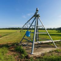 Greenville Farm Timberland images 3