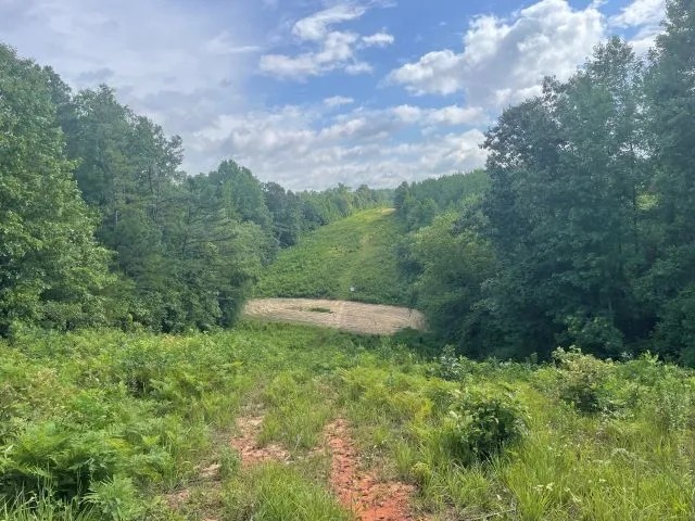 Boguefala Creek Tract featured image