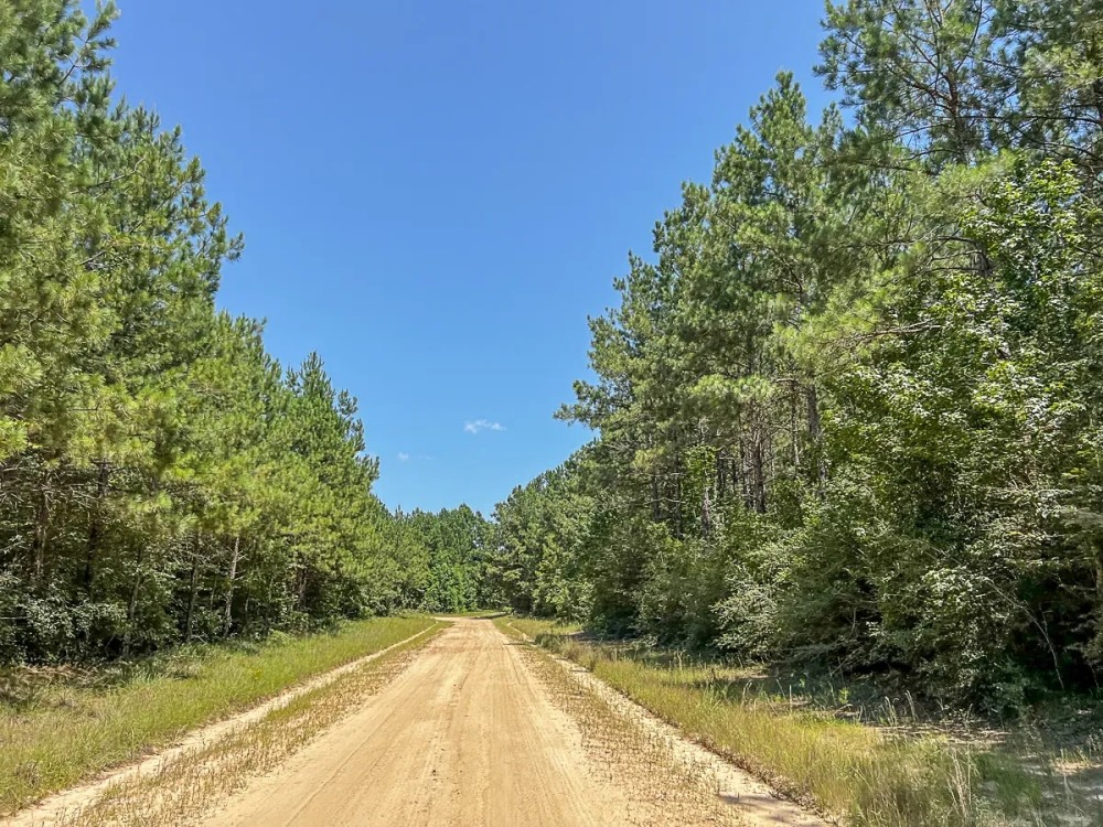 21 Acres T-17 Saron featured image