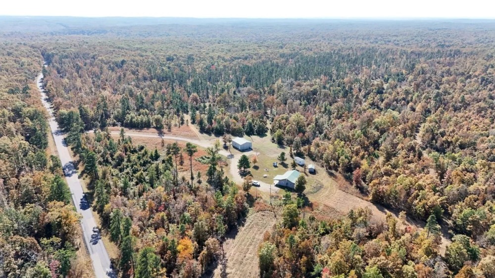 385 - Acres of Hunting Ground For Sale in Ripley Co. featured image