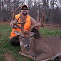 385 - Acres of Hunting Ground For Sale in Ripley Co. images 2