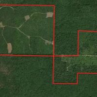 385 - Acres of Hunting Ground For Sale in Ripley Co. images 3