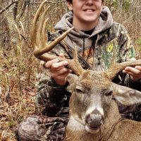 385 - Acres of Hunting Ground For Sale in Ripley Co. images 5