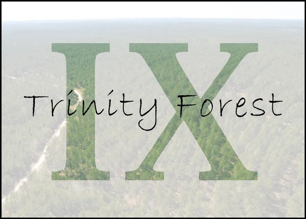 13 Acres 9E Trinity Forest IX featured image