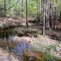 13 Acres 9E Trinity Forest IX images 4