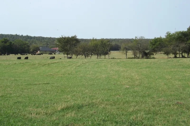 Rouse Road Ranch 405 Acres featured image