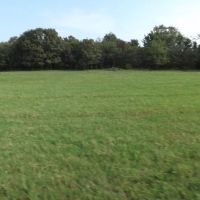 Rouse Road Ranch 405 Acres images 5