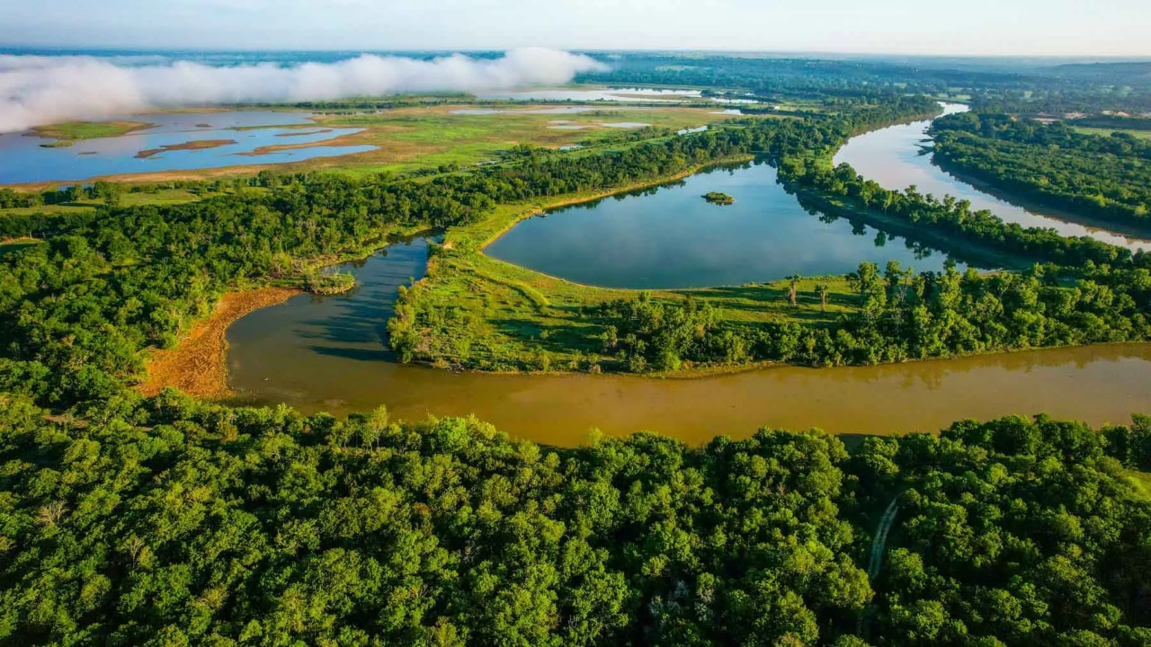 Pura Vida on the Brazos Hunting Land for Sale